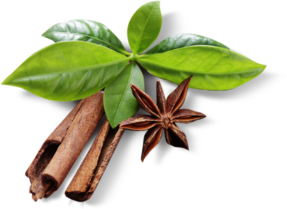 Download Slider 2 El 1 Cinnamon Leaves Png Png Image With No Background Pngkey Com