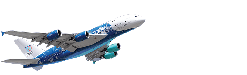 Download Aviao E Info - Airbus A380 PNG Image With No Background ...