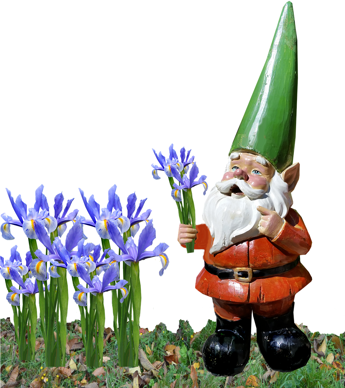 Gnome Iris Garden - Iris (1121x1280), Png Download