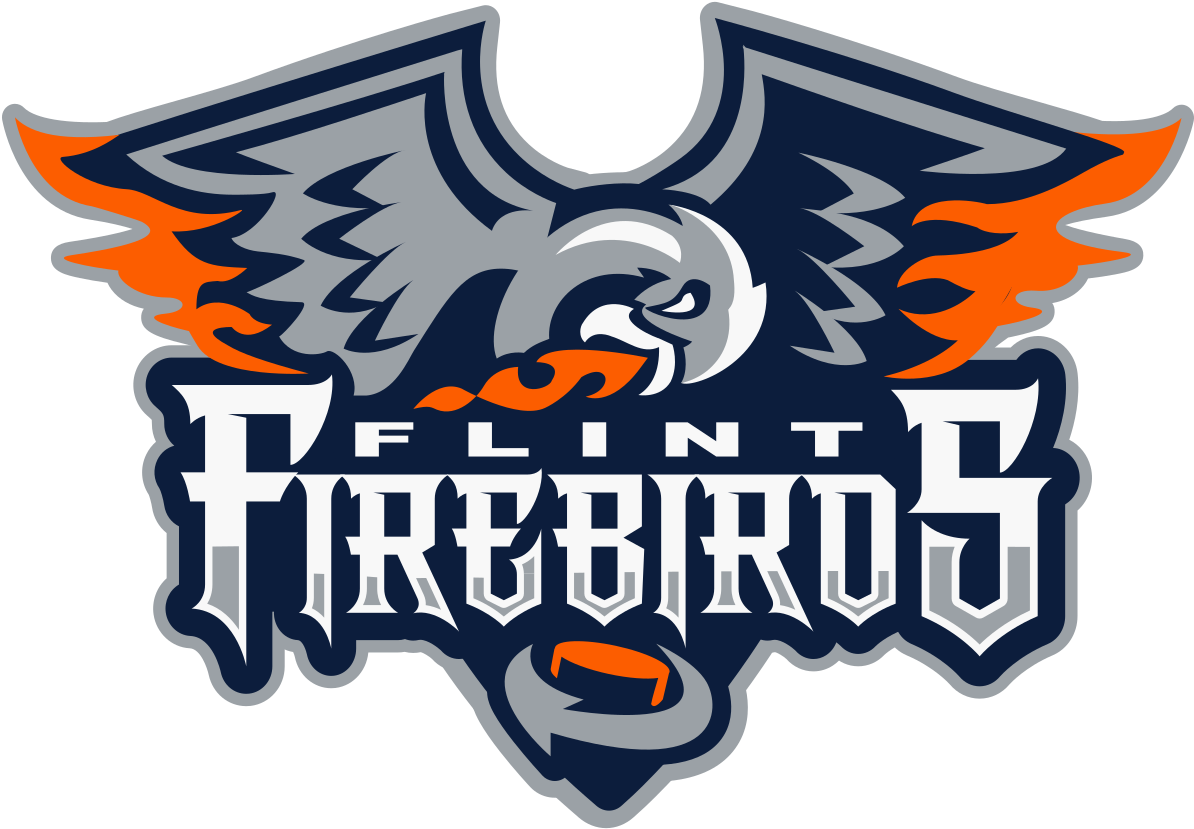 Download Flint Firebirds Logo Png PNG Image with No Background - PNGkey.com