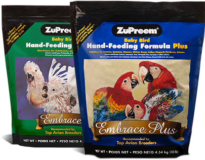 zupreem hand feeding formula