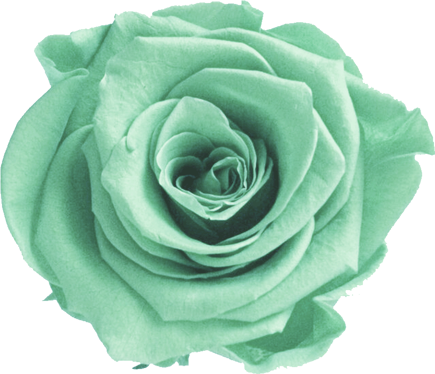 Mint Transparent Flower Crown - Mint Green Flower Png - Free