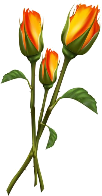 flower bud clipart