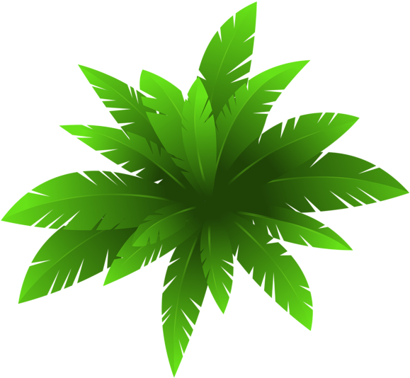 Download Green Plants Png - Plants Clipart Png PNG Image with No ...