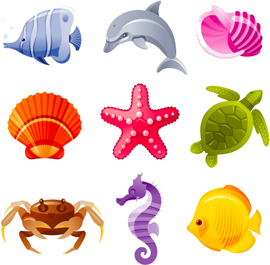 Download Sea Creatures - Conchas De Mar Caricatura Png Image With No 