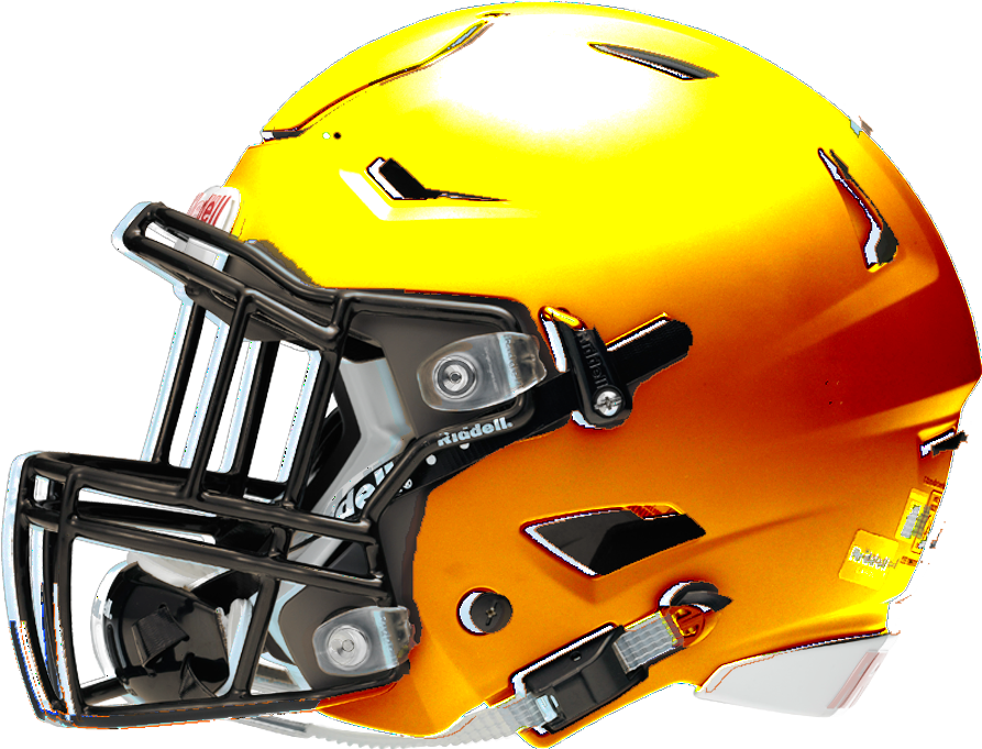 Download We Have The Standard Orange Helmet, Along With A Brown ...