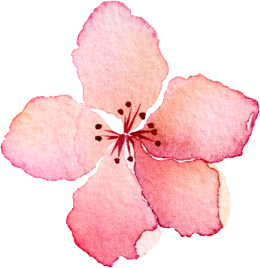 Download This Graphics Is Pink Hand Painted Flowers Cartoon - 花朵 图案 PNG ...