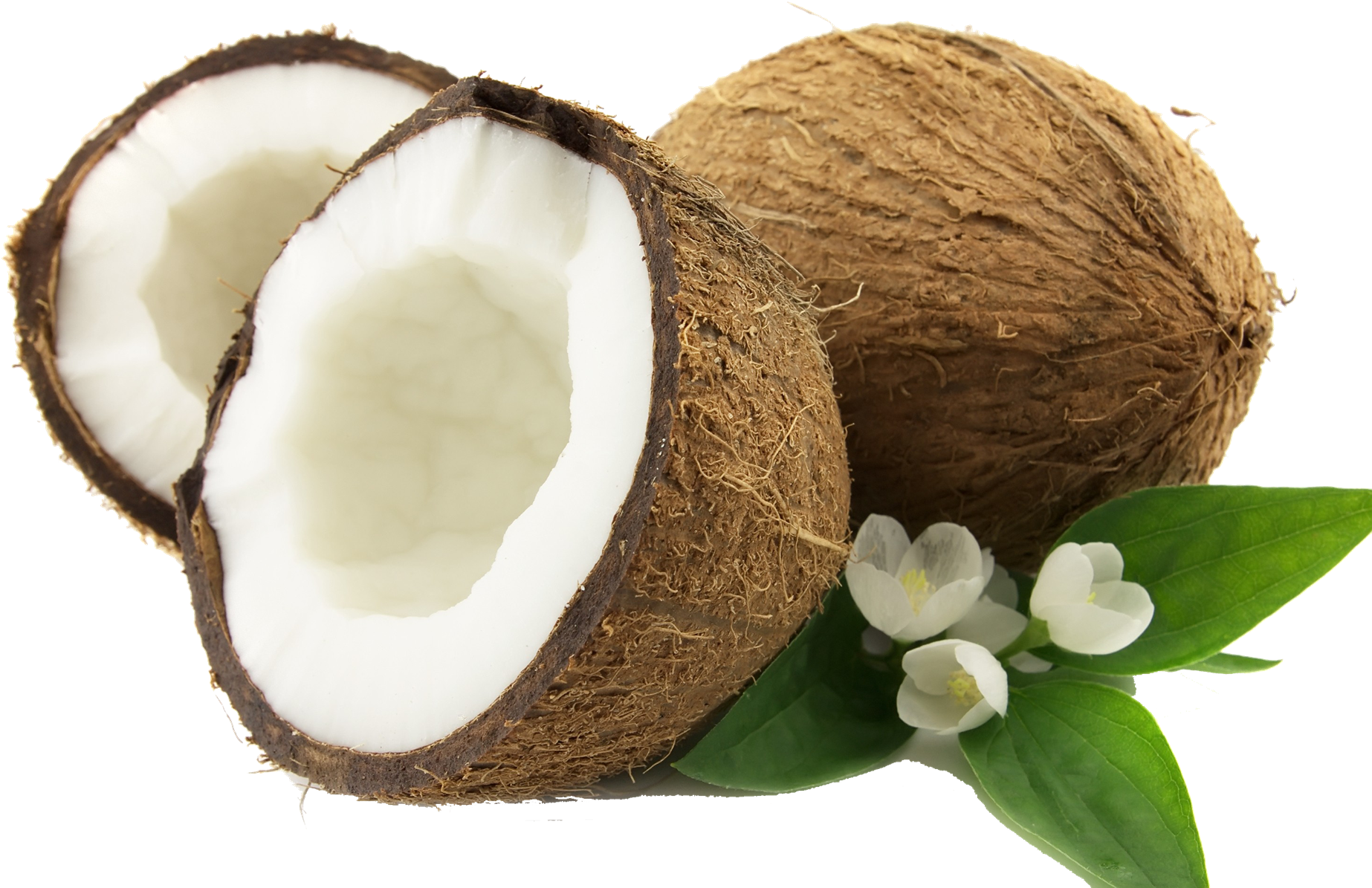 Coconut Bra - Amscan Coconut Bra 392996 - Free Transparent PNG Download -  PNGkey