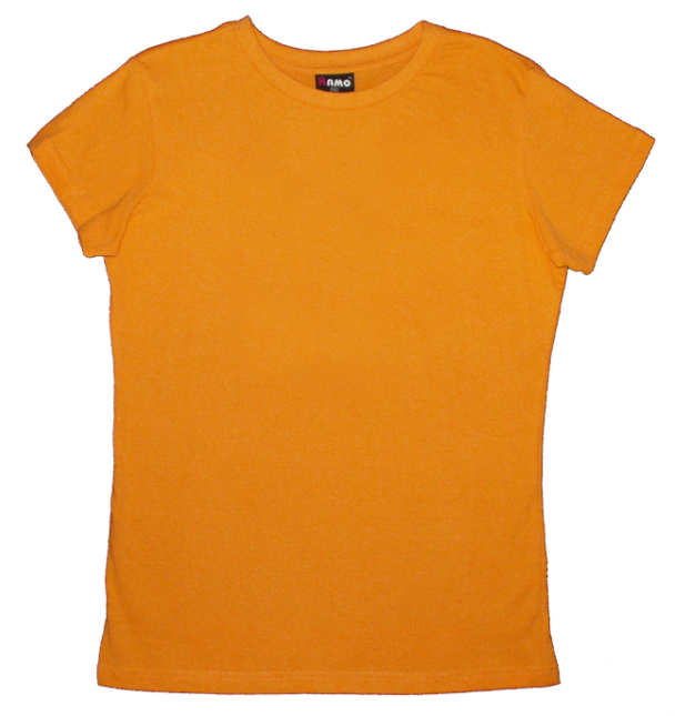 Download Womens Tshirt Orang - Boy PNG Image with No Background ...