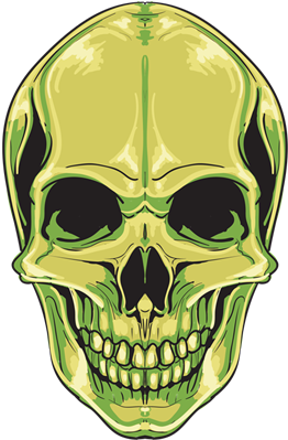 Green Skull - Skull Vector (400x400), Png Download