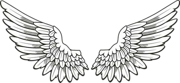 Download Report Abuse - Angel Wings Drawing Png PNG Image with No ...