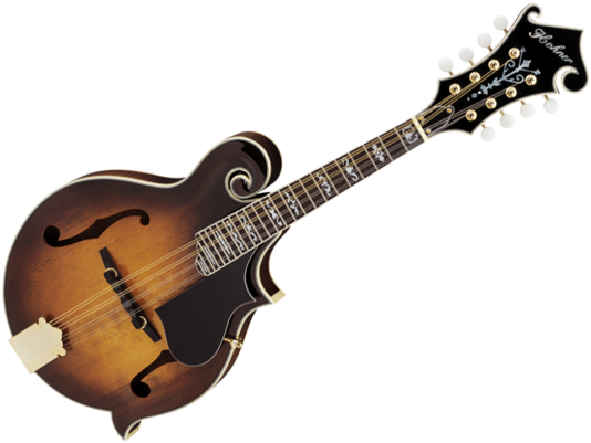 Download Ibanez Iceman Png Image With No Background - Pngkey.com