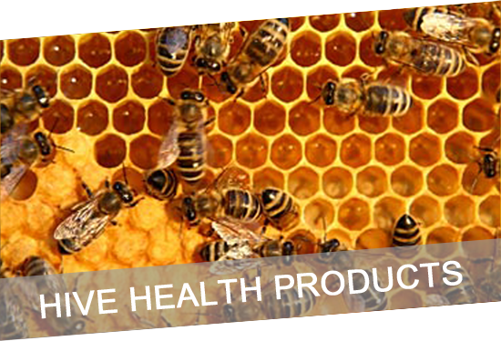Analysis Of Honey Project (550x375), Png Download