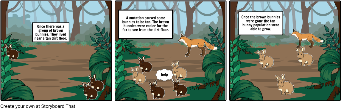 Tan Vs Brown Bunnies - Storyboard (1164x385), Png Download