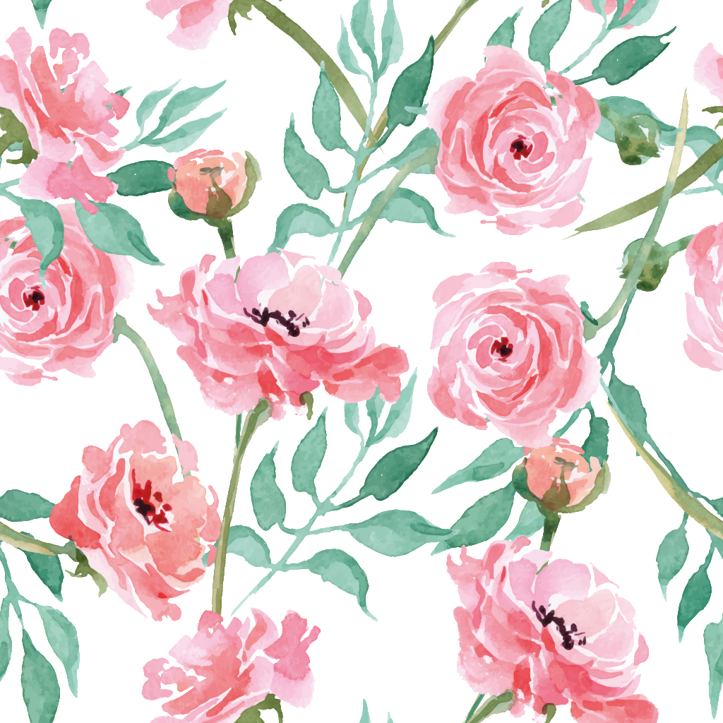 Download Pink Carnation Cartoon Background 康乃馨背景png Image With No Background Pngkey Com
