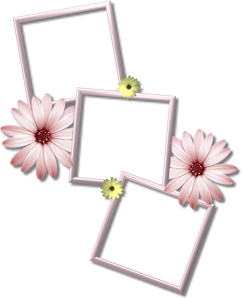 Download Collage Frame Png Picture Multiple Photo Frame Png Png Image With No Background Pngkey Com