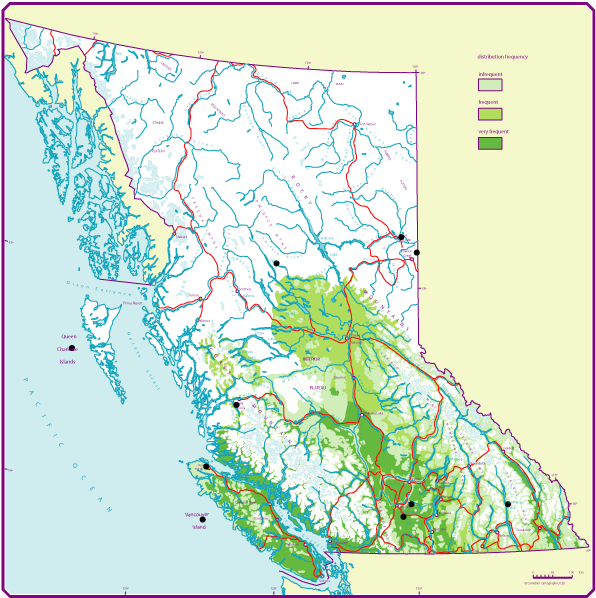 Download Bc Distribution Of Douglas Fir - Douglas Fir Range Bc PNG ...