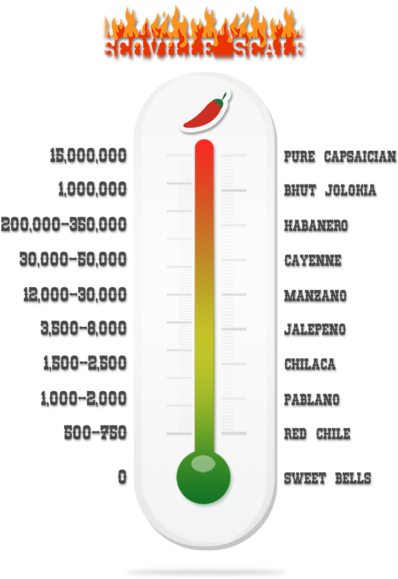 Download Additional Resources - - Spice Thermometer PNG Image with No ...