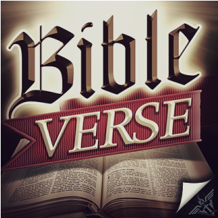 Download Bible Png Image With No Background - Pngkey.com