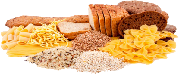 Download High Carb Diet PNG Image with No Background - PNGkey.com