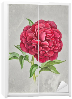 Download Watercolor Peony Flower - Watercolor Painting PNG Image with ...