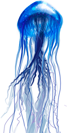Download Medusa De Mar Png - Jellyfish PNG Image with No Background ...