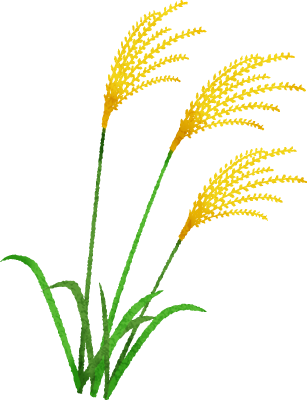 Download Hierba De Pampa Japonesa Chinese Silver Grass Png Image With No Background Pngkey Com