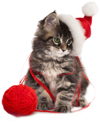 Christmas Kitten Png By Lg-design - Rapport Home Christmas Kitten 