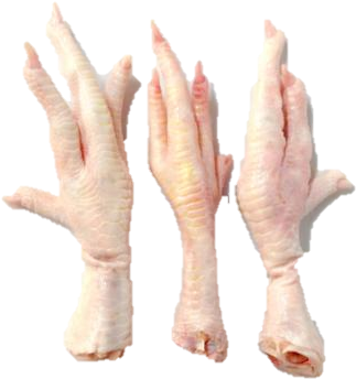 Download Chicken-feet - Transparent Chicken Feet PNG Image with No ...