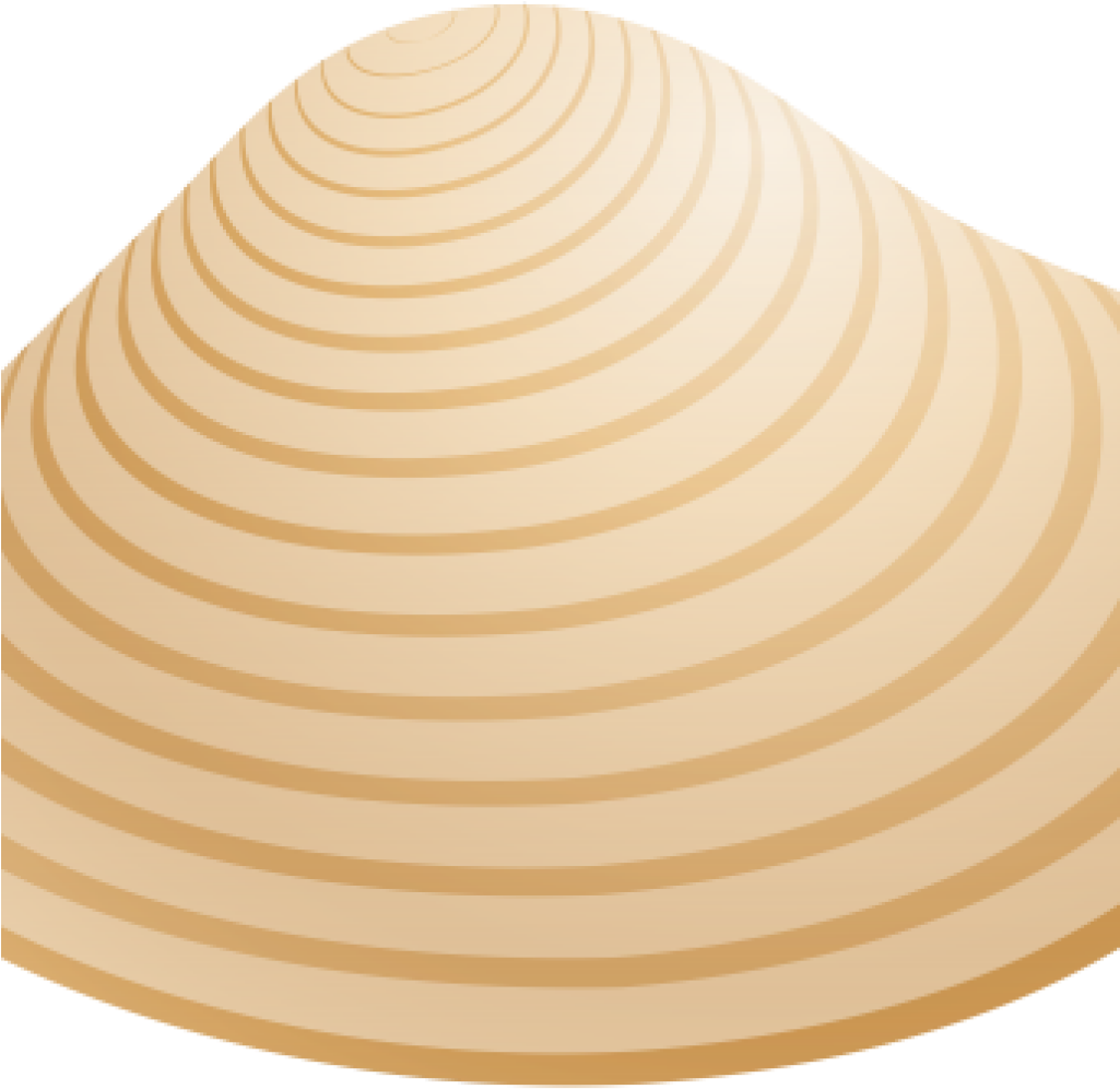 Shell Clipart Sea Shell Png Clip Art Best Web Clipart - Clip Art - Free ...