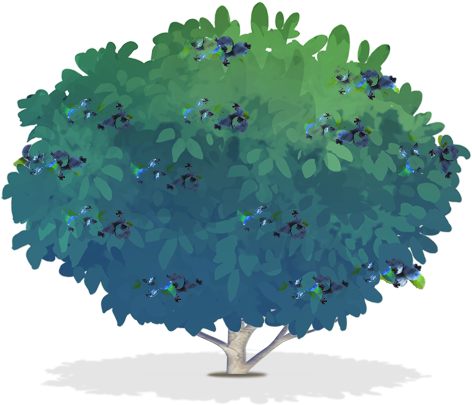 Png For Free Download On Mbtskoudsalg - Blueberry Bush Illustration ...