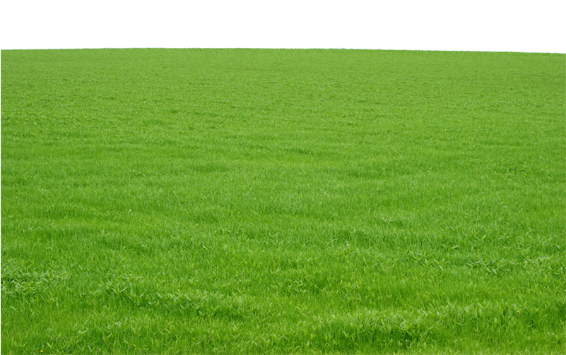 Download Green Grass Png Image Free Download Photo Field Of Grass Png Image With No Background Pngkey Com