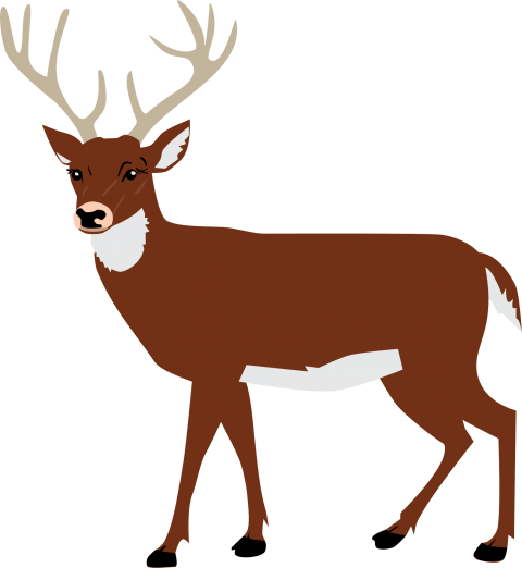 Download Free Png Moose Png Images Transparent Deer Svg Png Image With No Background Pngkey Com