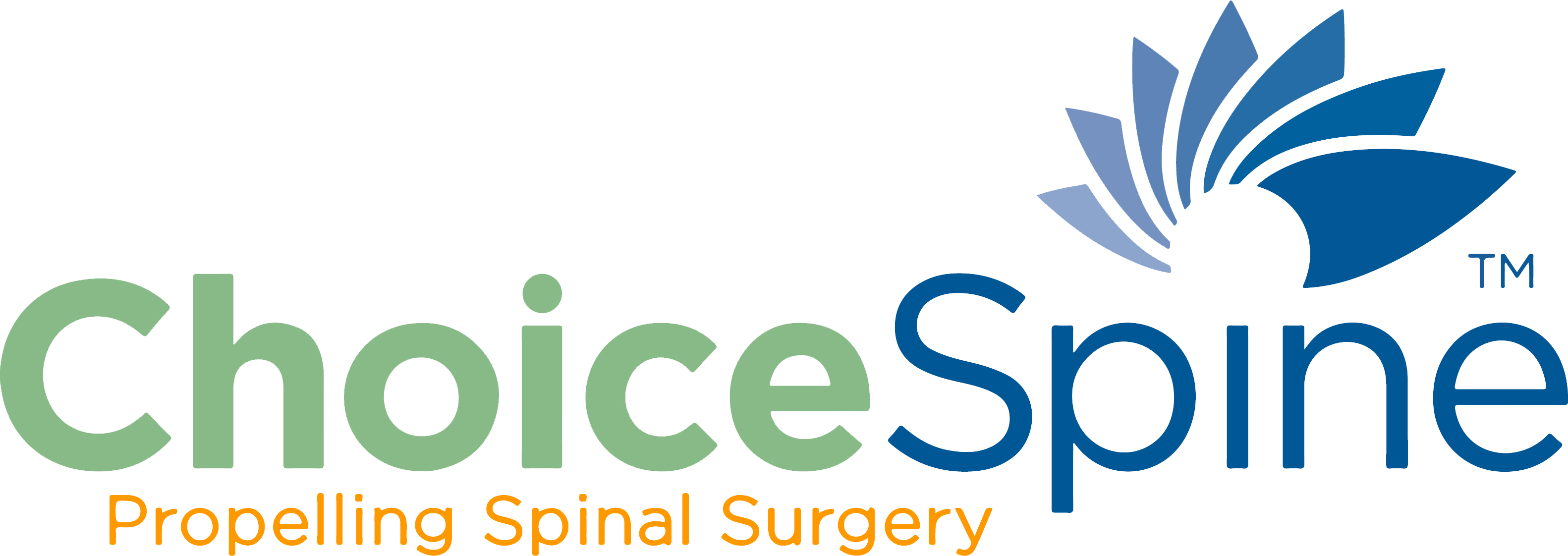 Spine Brain Logo