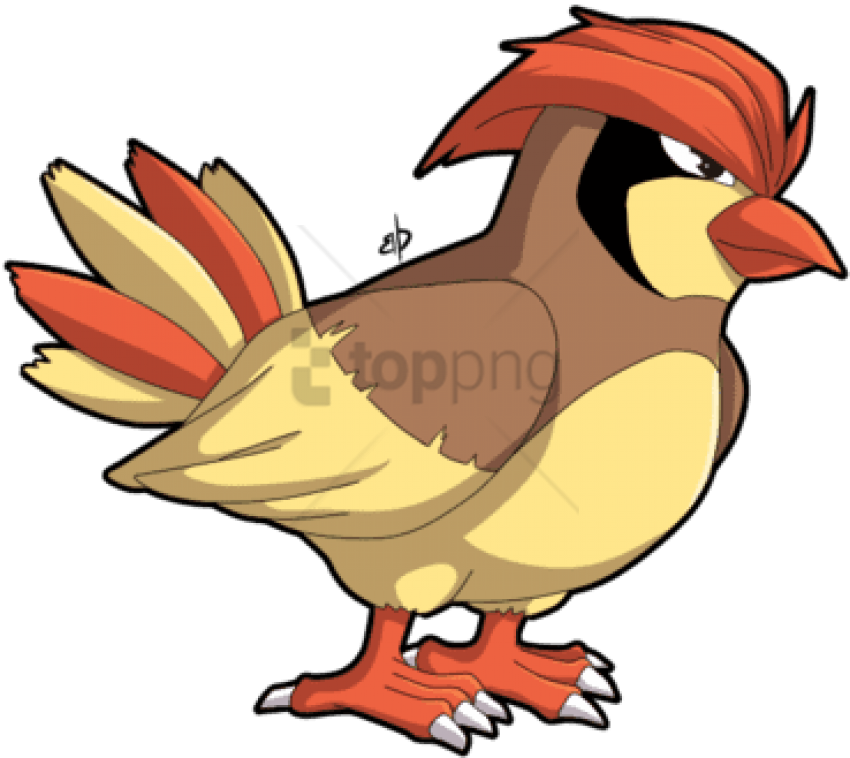 Download Smosh Pokemon Pidgey Pokemon Bird With Hair Png Image With