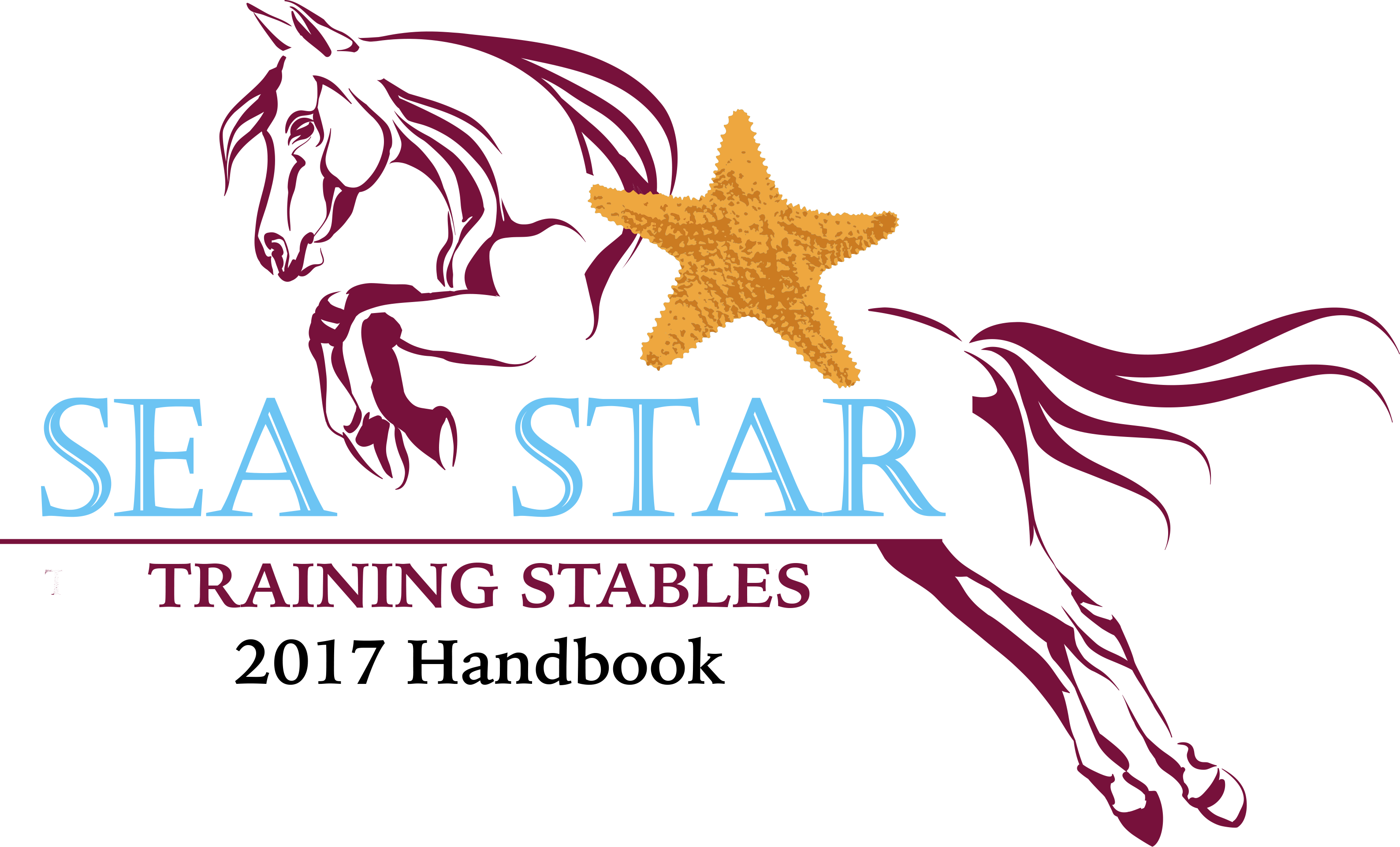 Star booking. Horse and Stars icon.