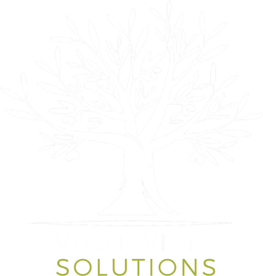 Download Logo Logo - Valle Vista Solutions PNG Image with No Background ...