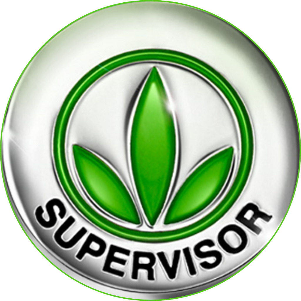 Herbalife Supervisor Supervisorherbalife - Supervisor Pin Herbalife (1024x1024), Png Download
