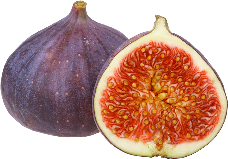 Download Common Fig Png Image With No Background Pngkey Com