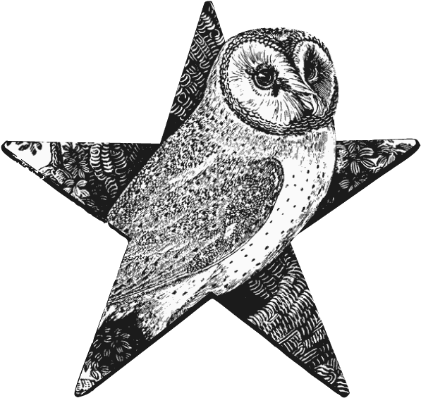 Download Barn Owl Barnstar Wood Engraving Png Image With No Background Pngkey Com