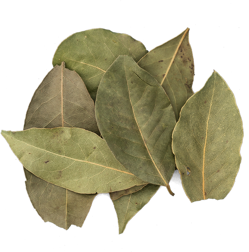 Download Bay Can Be Used To Flavour Both Sweet And Savoury Dishes Bay Leaf Png Image With No Background Pngkey Com