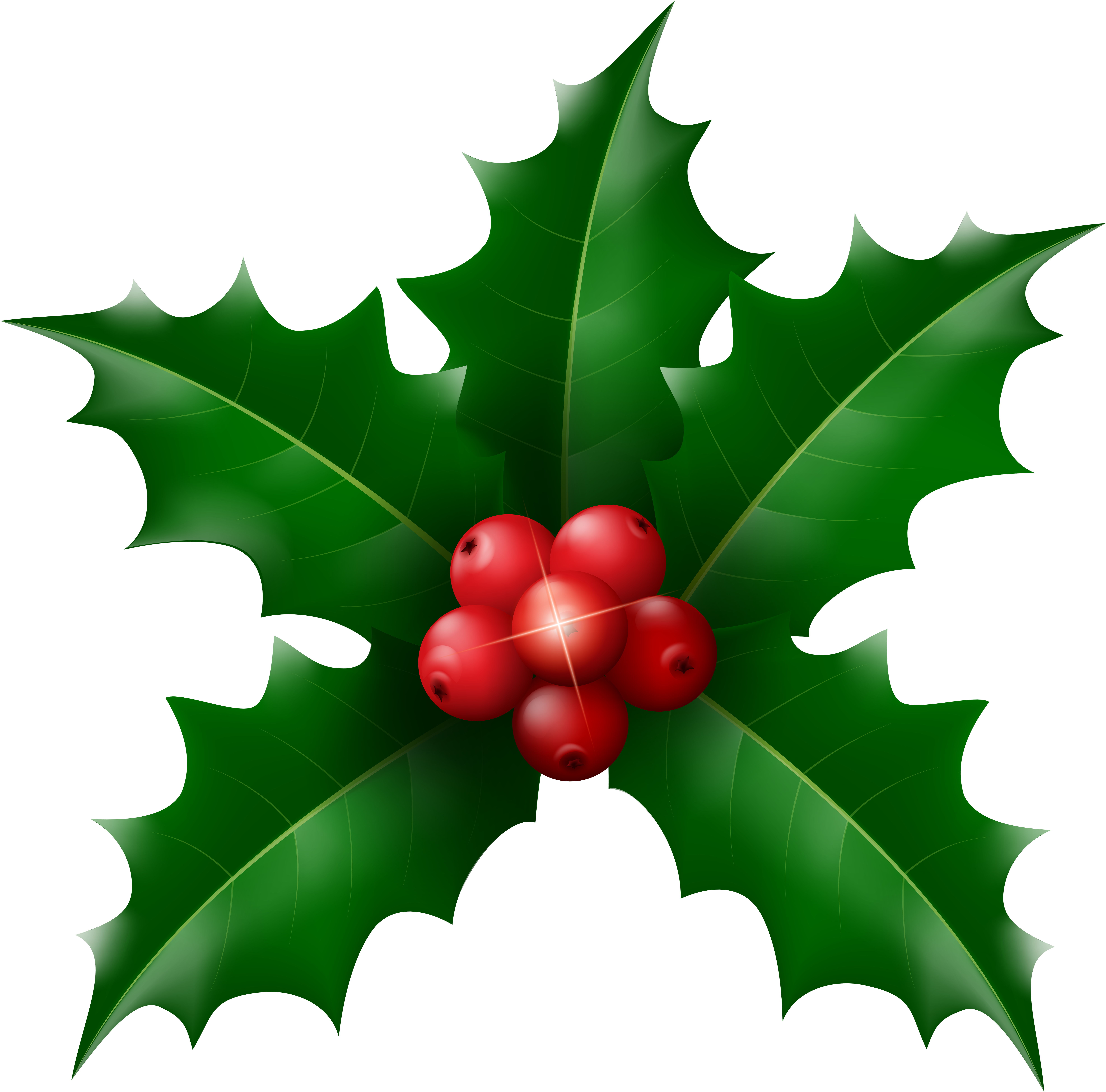 Download Holly Leaf Clipart At Getdrawings Png Image With No Background Pngkey Com
