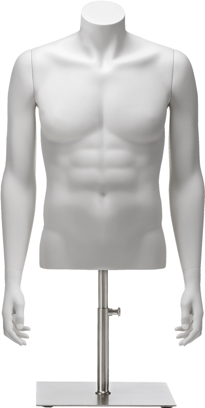 Download Clip In Torso Male A Arms Male Bust Mannequin Png Png Image With No Background Pngkey Com