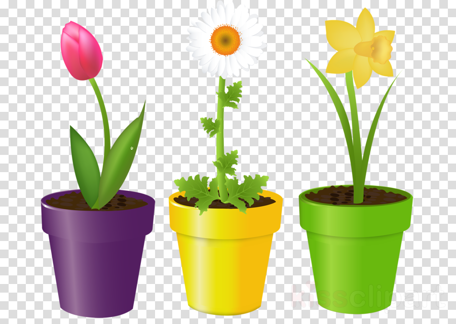 Flower Pot Clip Art PNG