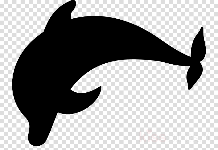 Dolphin Silhouette Clipart Dolphin Clip Art - Record With No Background ...