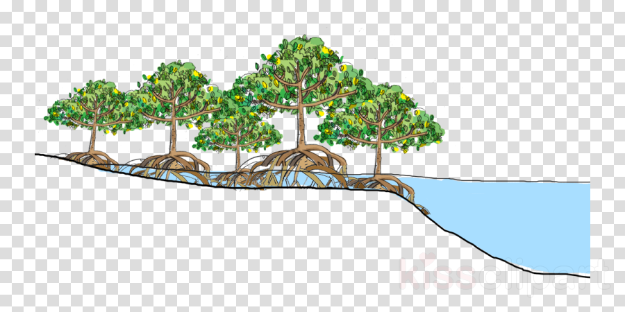 Mangrove Vector