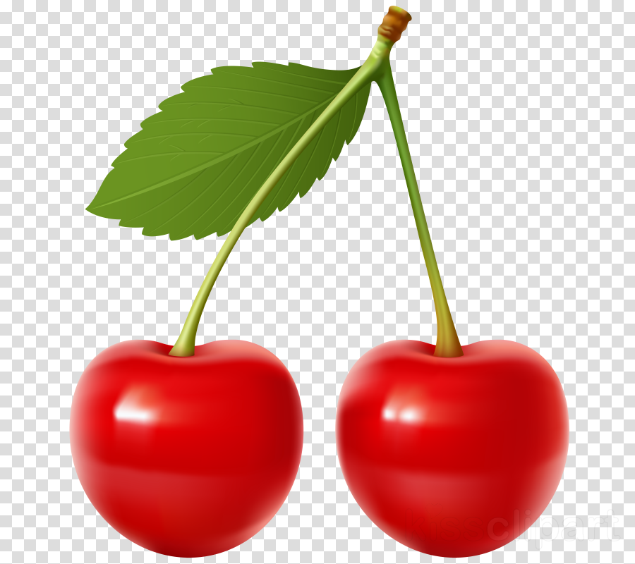 Cherry Png Clipart Cherry Pie Sour Cherry Cherries Transparent