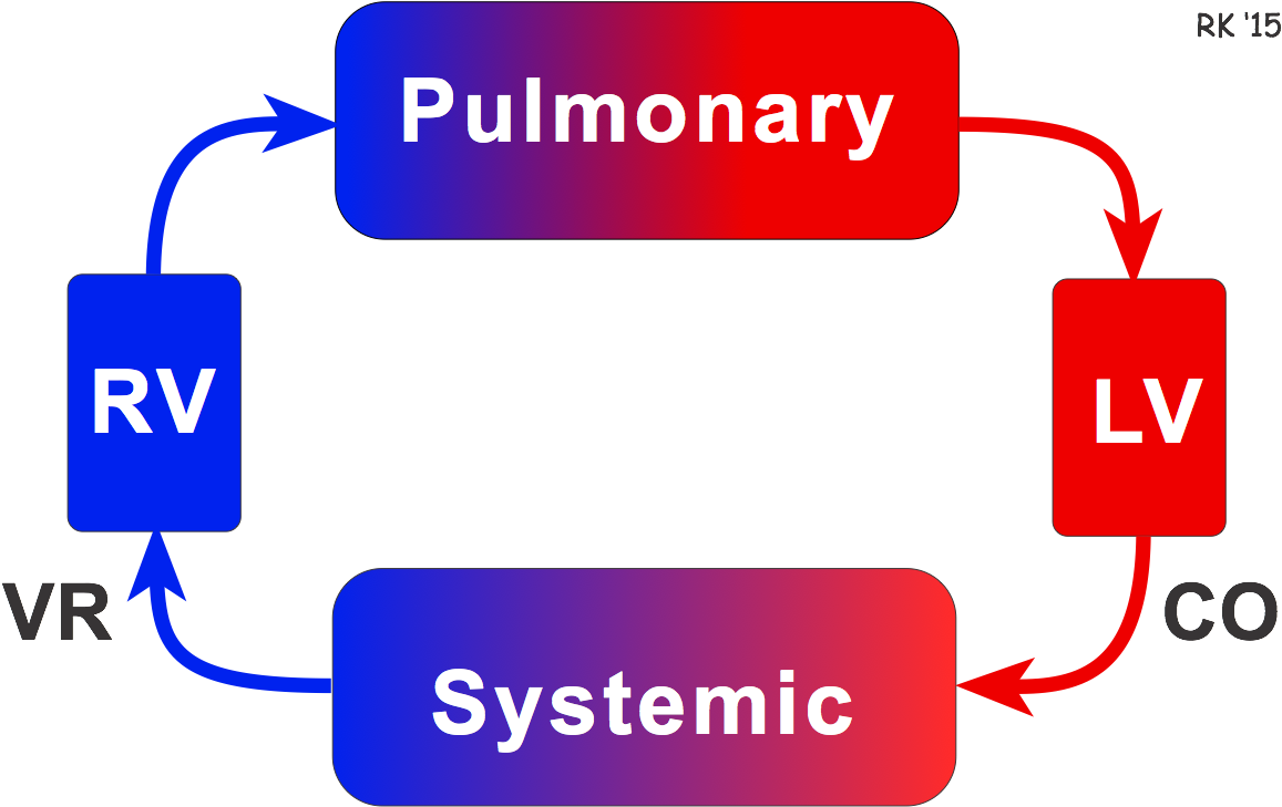 Return means. Sistema Infusion PNG logo.