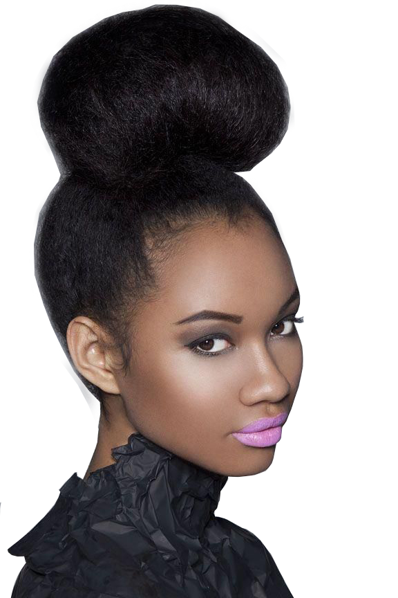 Download Discover The Carlyclip African American Bun Hairstyle