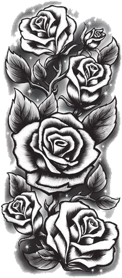 Ceiaxostickers Png Transparent Tumblr Aesthetic Grunge Rose Sleeve   495 4951589 Tumblr Png Transparent 